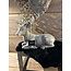 # Hert Orion liggend M 30 x 15 x 25