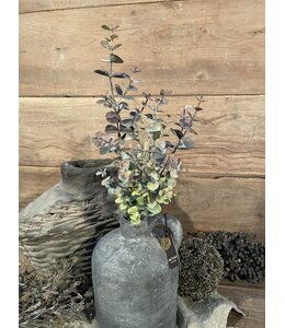 Eucalyptus "Spray" 65 cm - rood groen