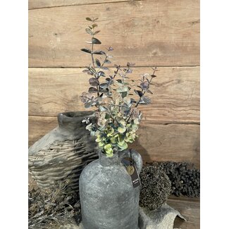 ## Eucalyptus "Spray" 65 cm - rood groen