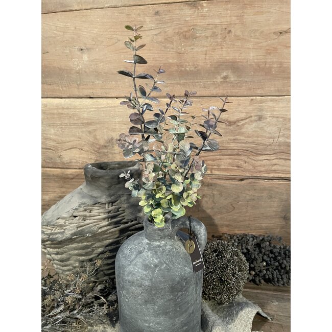 ## Eucalyptus "Spray" 65 cm - rood groen