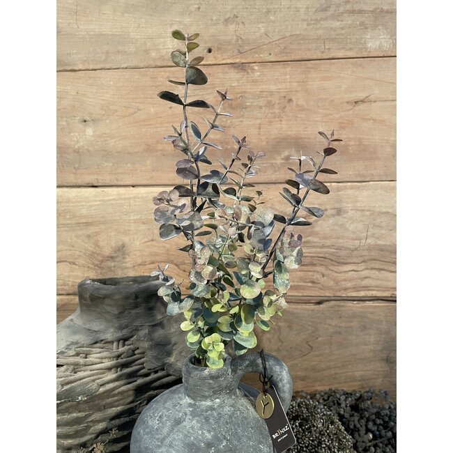 Eucalyptus "Spray" 65 cm - rood groen
