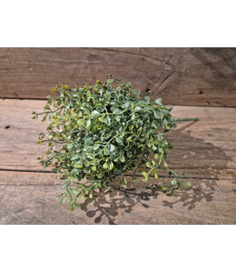 # Tea Leaf Bush x6 - kunst - groen