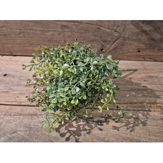 ## Tea Leaf Bush x6 - kunst - groen