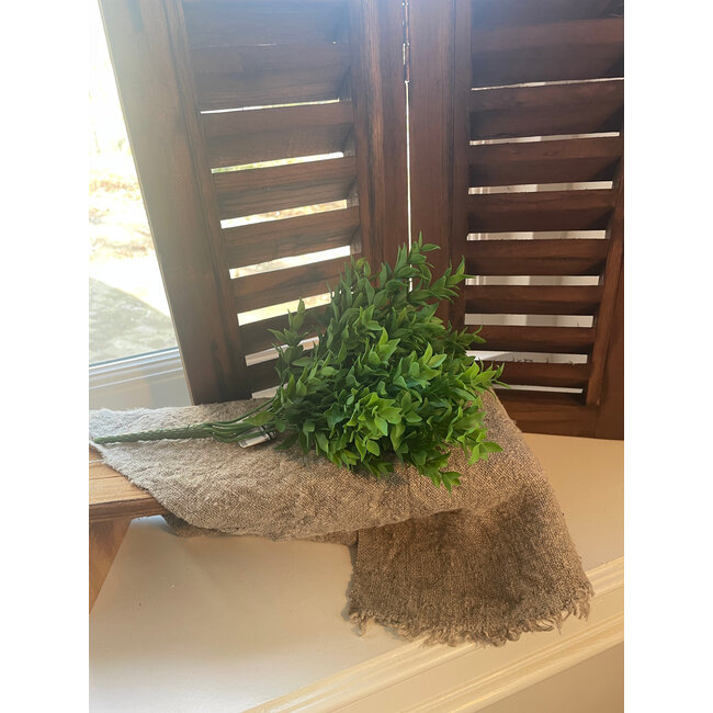 Boxwood Bush 30cm - groen