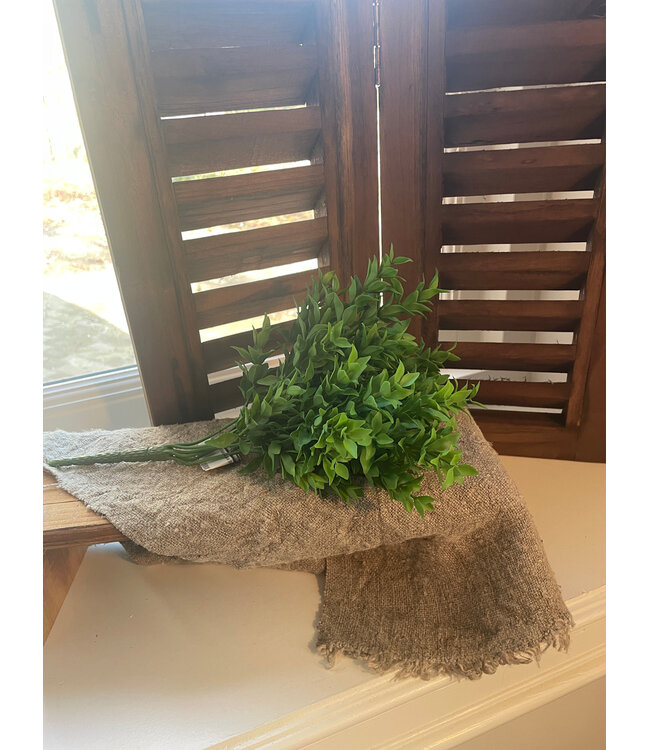 Boxwood Bush 30cm - groen