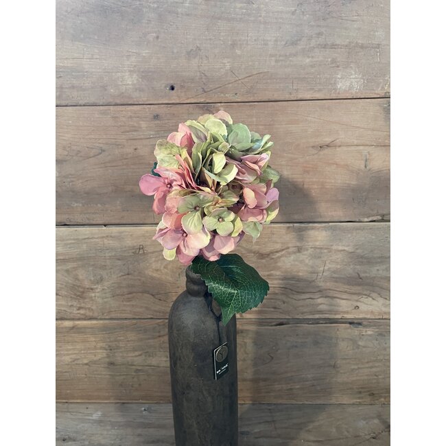 ## Hydrangea Stem 70cm - hortensia - roze/groen