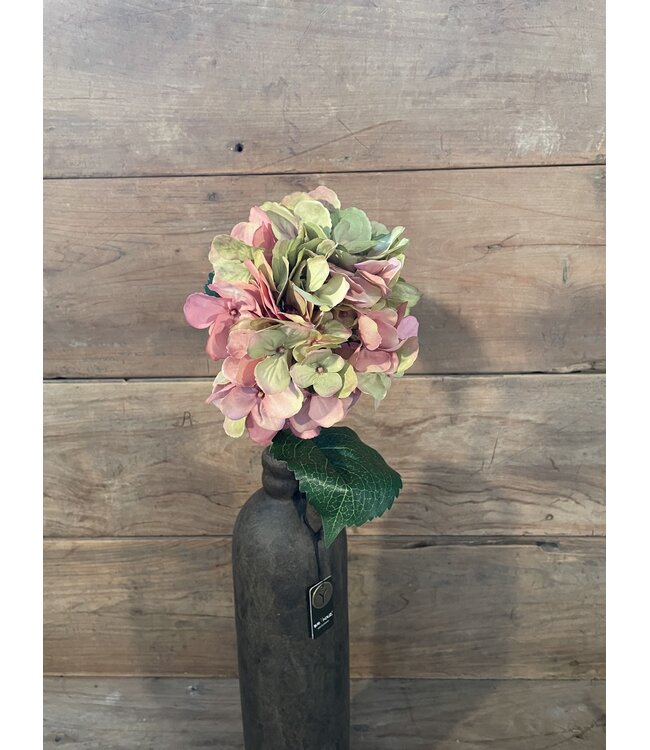 # Hydrangea Stem 70cm - hortensia - roze/groen