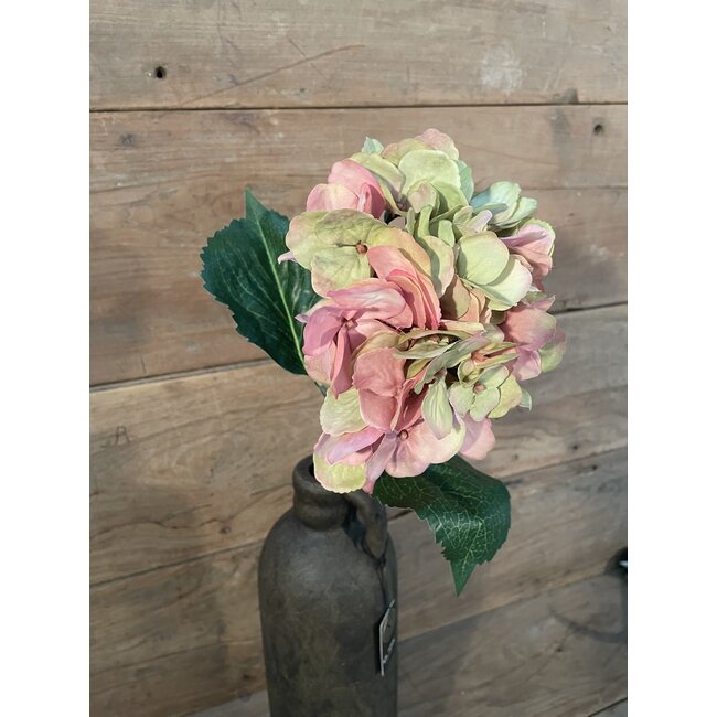 ## Hydrangea Stem 70cm - hortensia - roze/groen