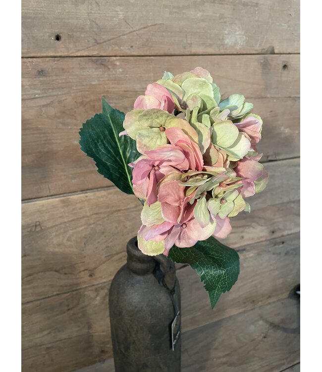 # Hydrangea Stem 70cm - hortensia - roze/groen