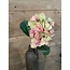 ## Hydrangea Stem 70cm - hortensia - roze/groen
