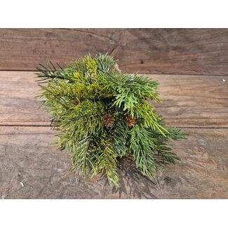 # Pine and Cedar bundle 30 cm