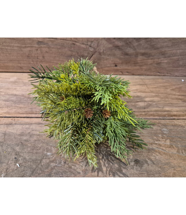 Pine and Cedar bundle 30 cm