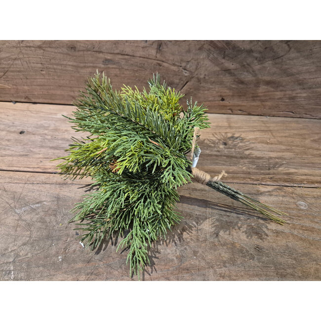 Pine and Cedar bundle 30 cm