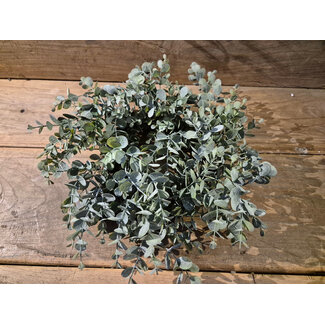 Countryfield # Groene eucalyptus krans 40 cm
