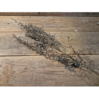 ## Kunsttak Corokia L - bruin Sobere tak - 100 cm