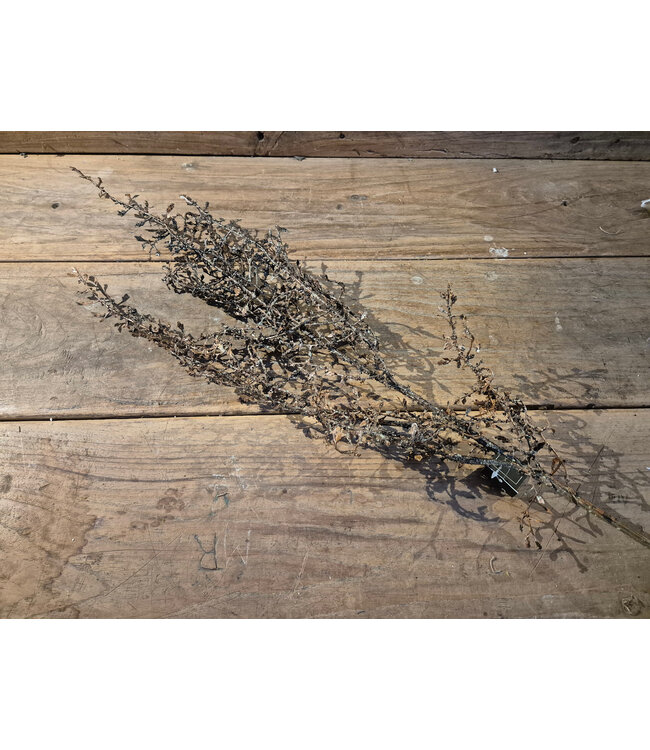 Kunsttak Corokia L - bruin Sobere tak - 100 cm