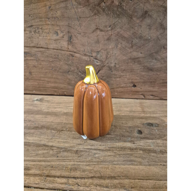 # Aardewerk pompoen 10,5cm bruin