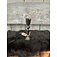 # Kaarsenstandaard zwart - 6 x 13 cm