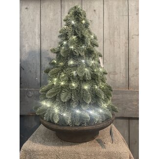 # Nobilis X-Tree with LED-wire L D.35 H.52