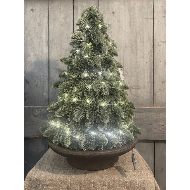# Nobilis X-Tree with LED-wire L D.35 H.52