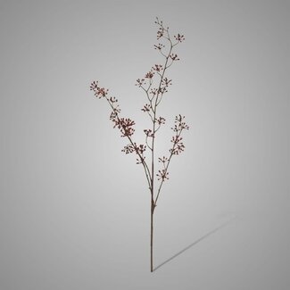 ## Berry Spray Light Red 75 Cm