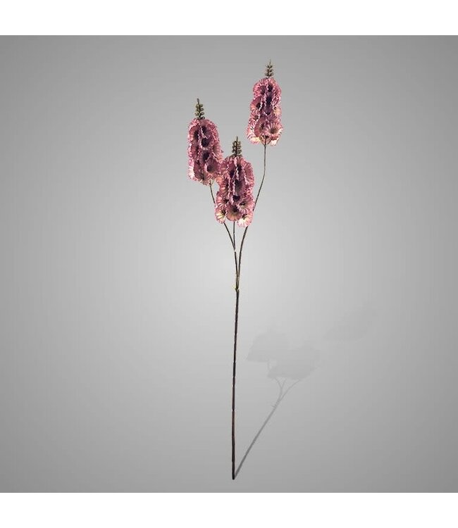 # Molusella Ant. Pink 70 cm