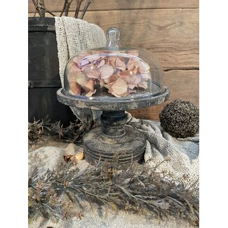 # Glazen stolp op houten voet 20 cm - S