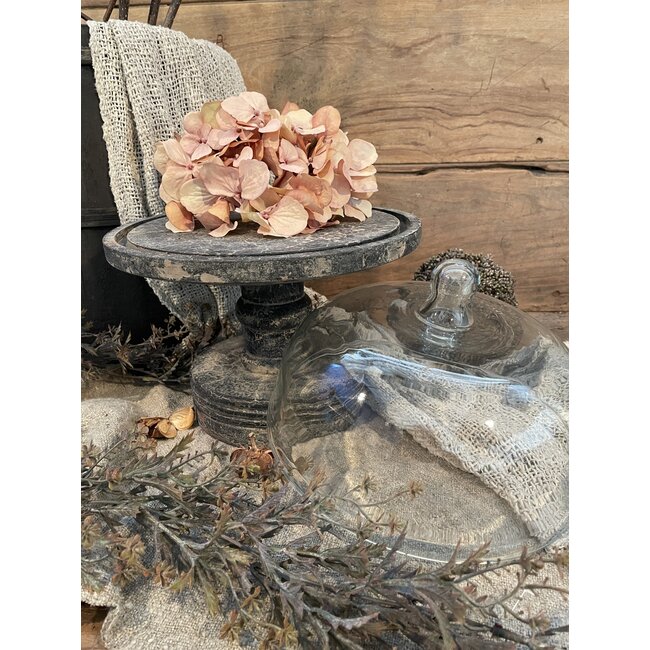 Glazen stolp op houten voet 20 cm - S