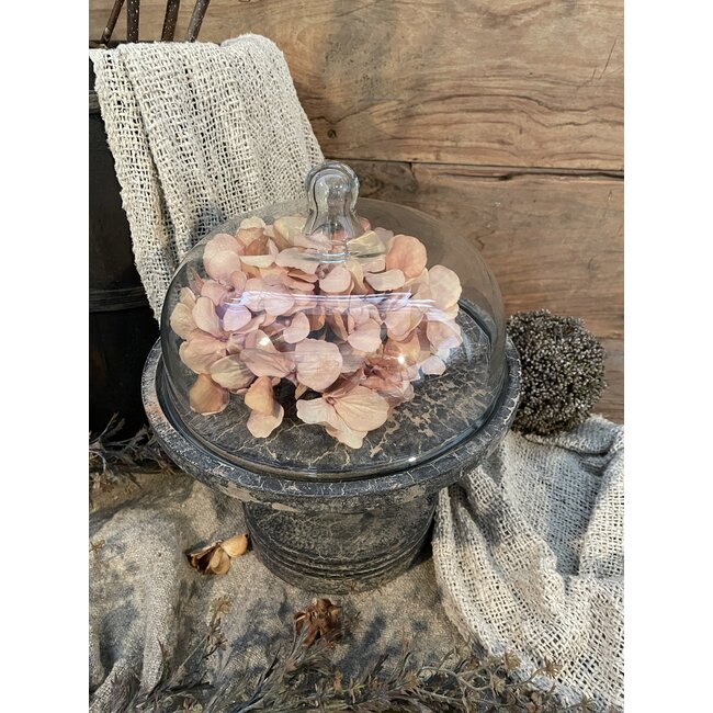 Glazen stolp op houten voet 20 cm - S