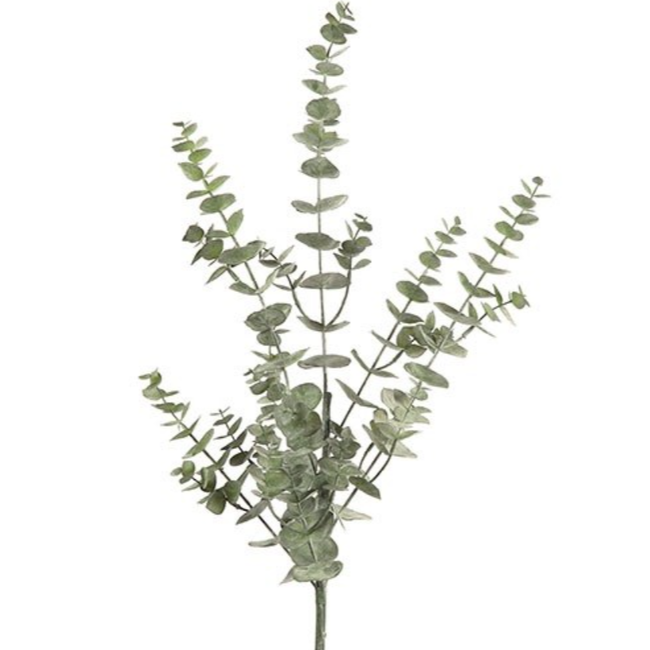 Countryfield ## Kunstblad Eucalyptus L groen-L26B26H93CM