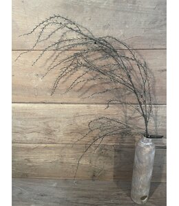 Countryfield Euphorbia groen-L137B10H10CM