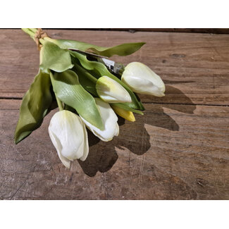 # Real Touch Tulip Bundle x5 L31cm White