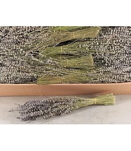 # Lavendel bos ca. 45cm 100gram