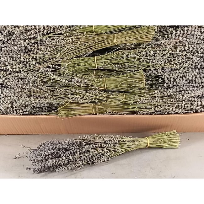 # Lavendel bos ca. 45cm 100gram