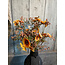 # Kunst bloem "Bundle Cascadias" amber zijde 40cm
