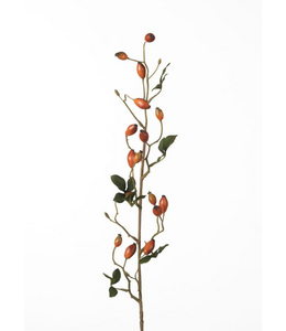 Rosehip Zaffiro Spray L84cm Orange