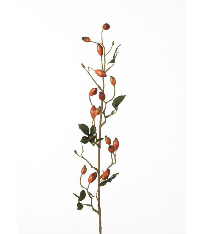 Rosehip Zaffiro Spray L84cm Orange