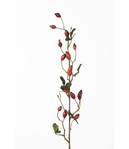 Rosehip Zaffiro Spray L84cm Red