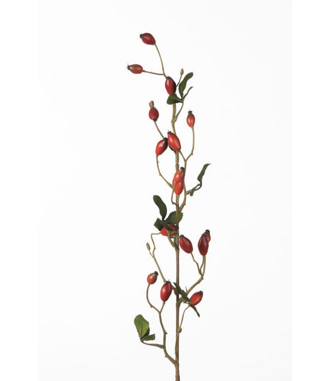 Rosehip Zaffiro Spray L84cm Red