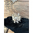 # Windlicht gewei Ivory S 13 x 13 x 11