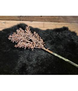 Countryfield @ Bruin bes takje - 35 cm