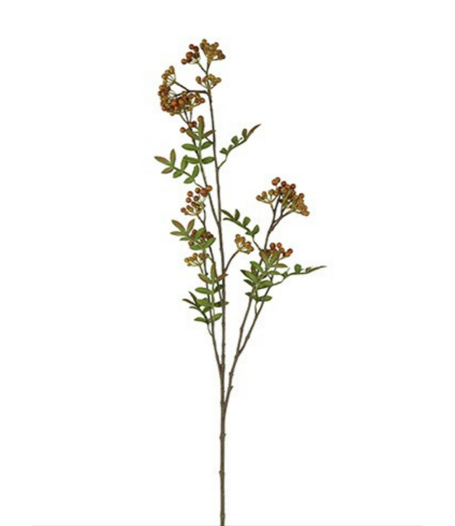 Countryfield Kunstknop Pyracantha L oranje-L3,8B10H110CM