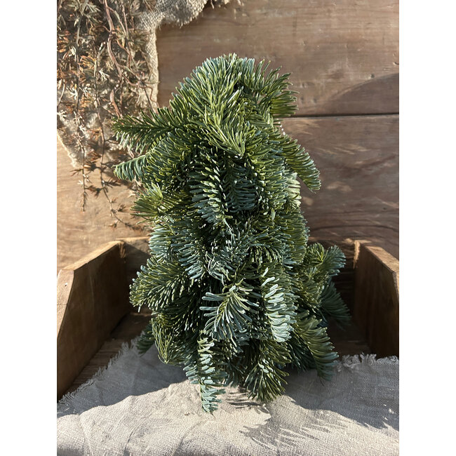 # Nobilis Tree Green 20 x 20 x 30 cm