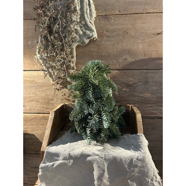 # Nobilis Tree Green 20 x 20 x 30 cm