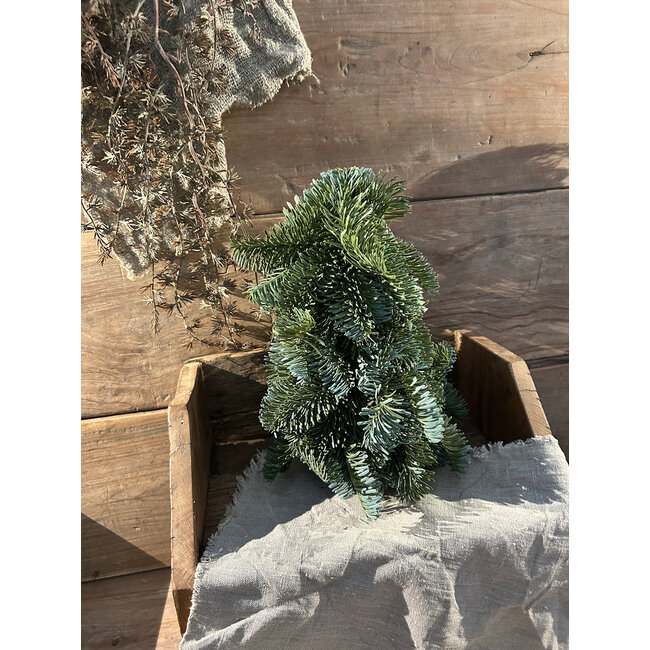 # Nobilis Tree Green 20 x 20 x 30 cm