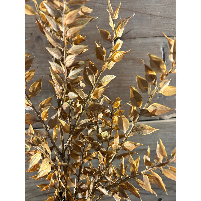 # Bruine tak - 90 cm