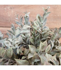 LAURO BUSH BRONZE 35 cm
