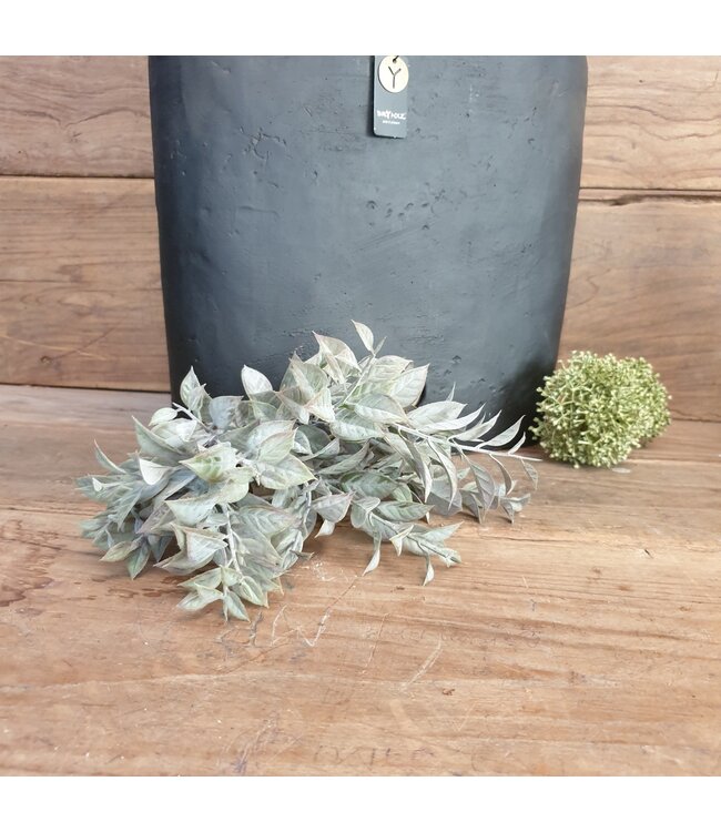 LAURO BUSH BRONZE 35 cm