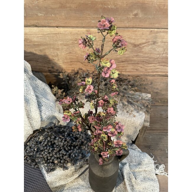 ## Paarse Ganzerik - Potentilla 102 cm