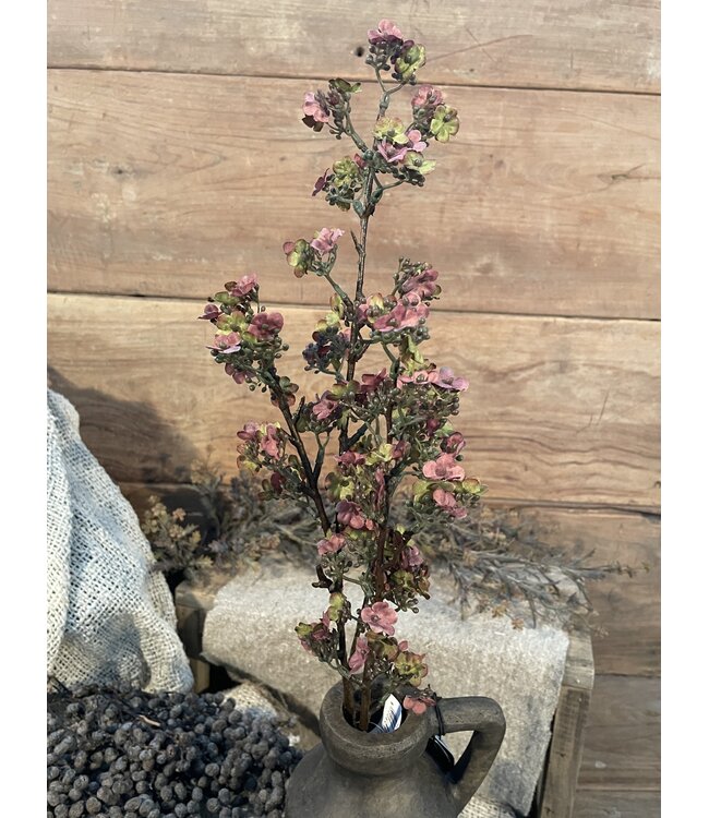 Paarse Ganzerik - Potentilla 102 cm